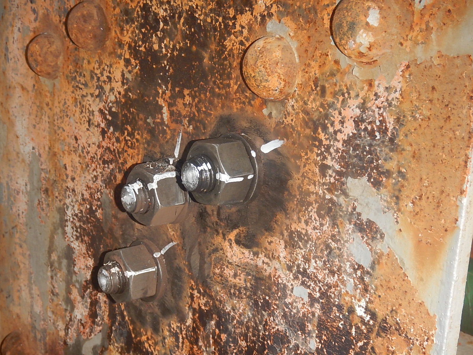 ENVIRONMENT 環境製品